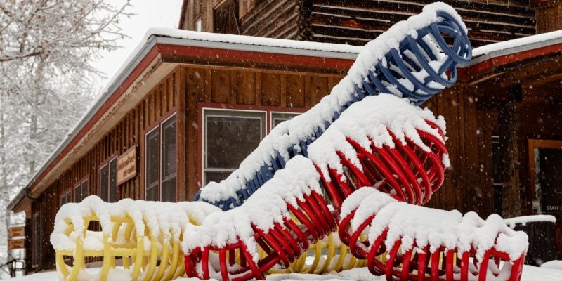 20251117-exhibit-burson-bunny-3-jpg